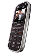 Best available price of Motorola WX288 in Lithuania
